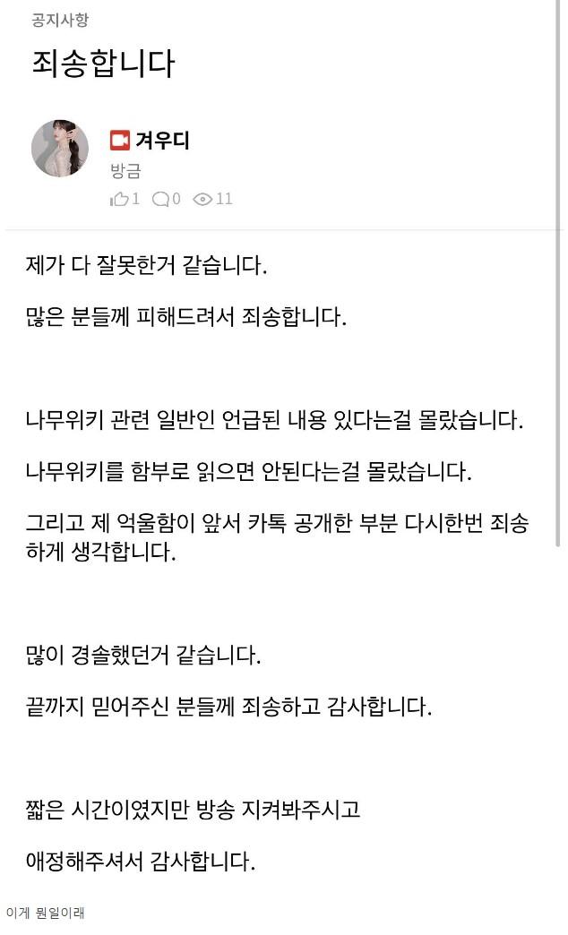 빛베리랑 갈등 겨우디 장기휴방 ㄷㄷ 커뮤니티 아프리카tv E스포츠